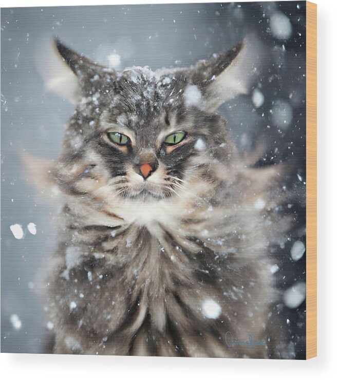 Cat Wood Print featuring the digital art Winter Cat in The Snow by Annalisa Rivera-Franz