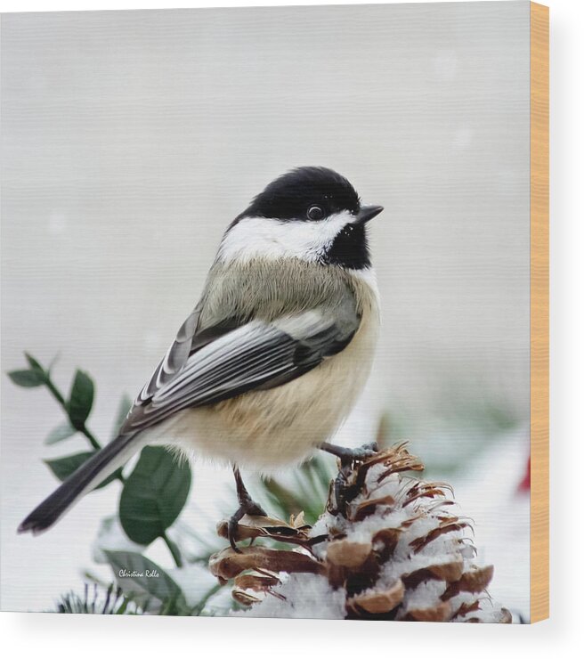 Winter Wood Print featuring the photograph Winter Chickadee Square by Christina Rollo