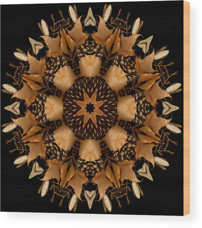 Mandala Wood Print featuring the photograph Winter Day 13 #1 by Marsha Tudor