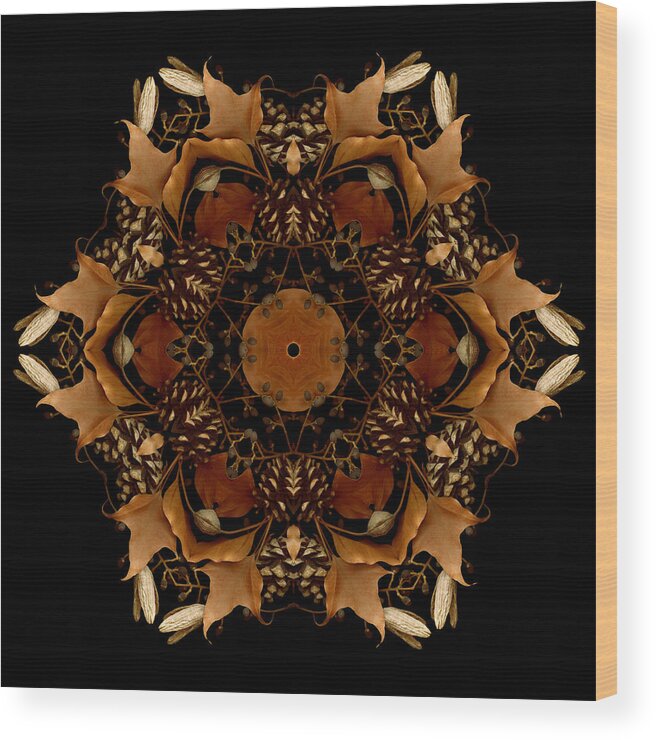 Mandala Wood Print featuring the photograph Winter Day 5 by Marsha Tudor