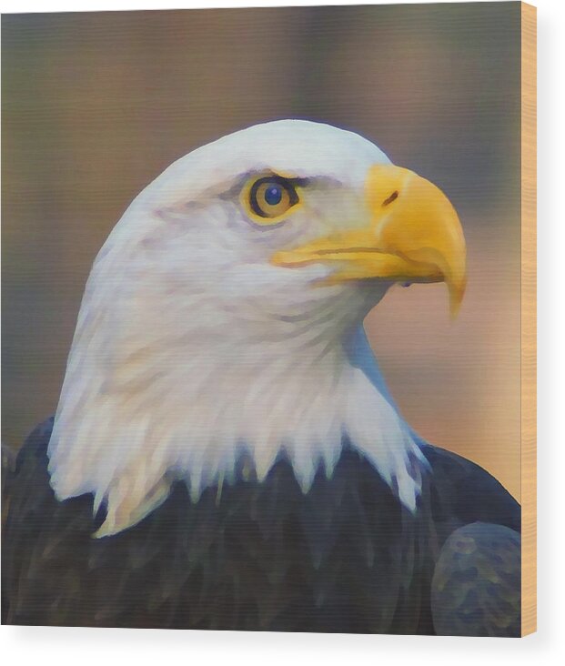 Bald Eagles Wood Print featuring the photograph The Eagle Has Landed by M Three Photos