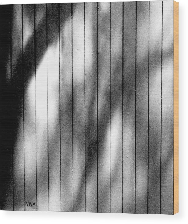 Wood Fence Wood Print featuring the photograph Shadowland by VIVA Anderson