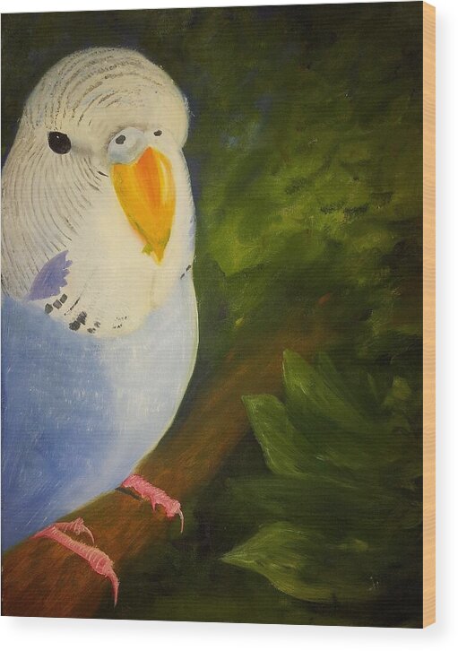 White Wood Print featuring the painting The Baby Parakeet - Budgie by Abbie Shores