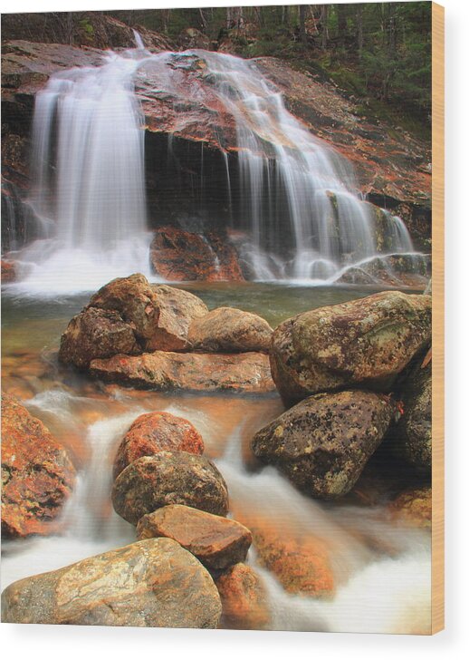 Waterfall Wood Print featuring the photograph Thomson Falls by Roupen Baker