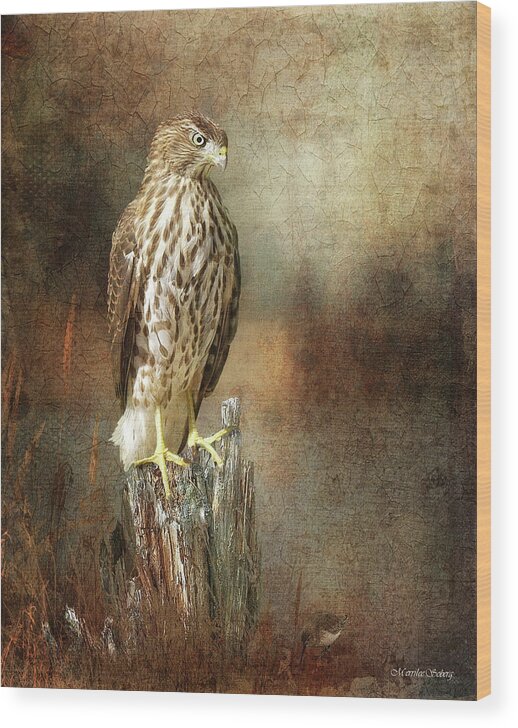 Bird Wood Print featuring the digital art The Lookout #1 by Merrilee Soberg