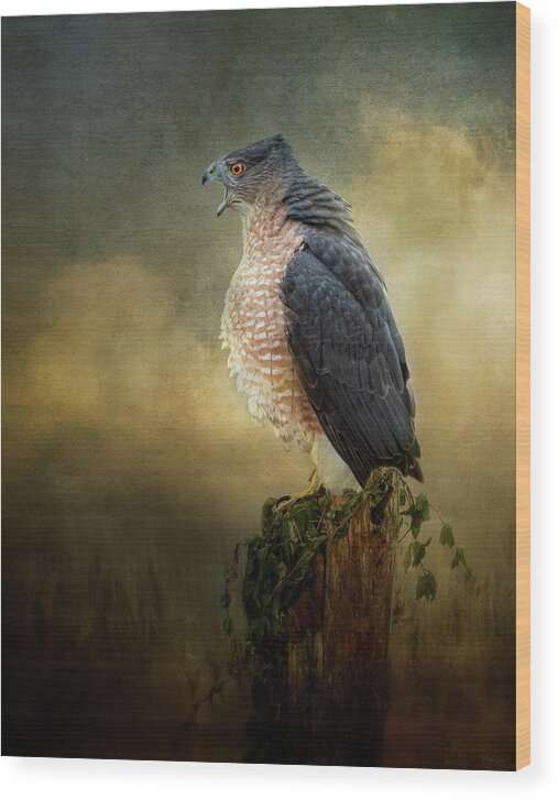 Hawk Wood Print featuring the digital art The Lecture by Nicole Wilde