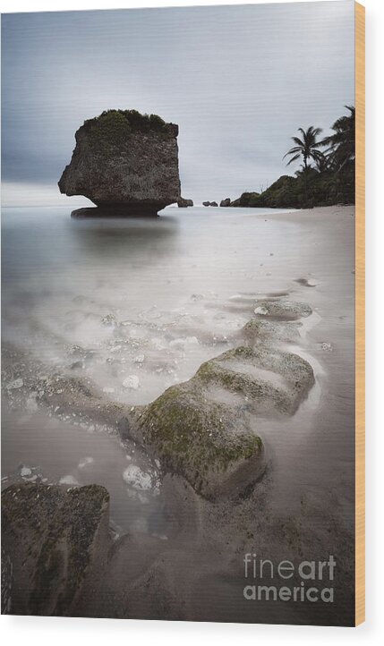 Landscape Wood Print featuring the photograph Bathsheba beach - Barbados #2 by Matteo Colombo