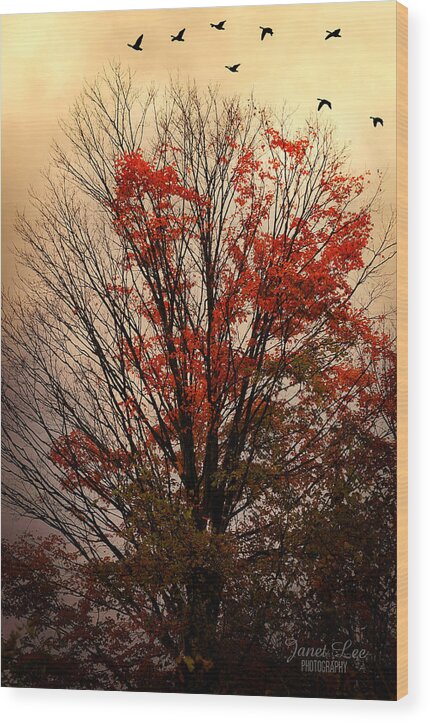 Geese Wood Print featuring the photograph Autumn Goodbyes by Janet Lee
