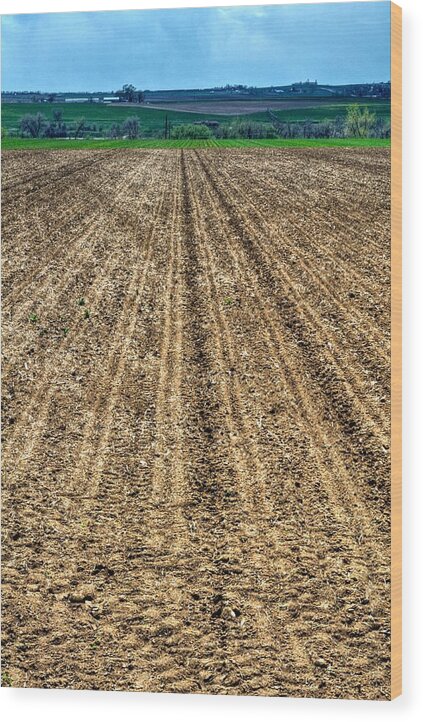 Ag Wood Print featuring the photograph Newly Planted 14564 by Jerry Sodorff