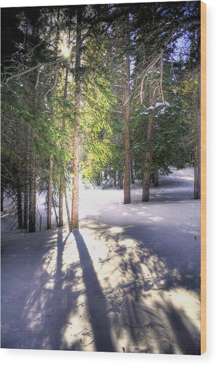 Rocky Wood Print featuring the photograph Trail To Bear Lake 4490 by Jerry Sodorff