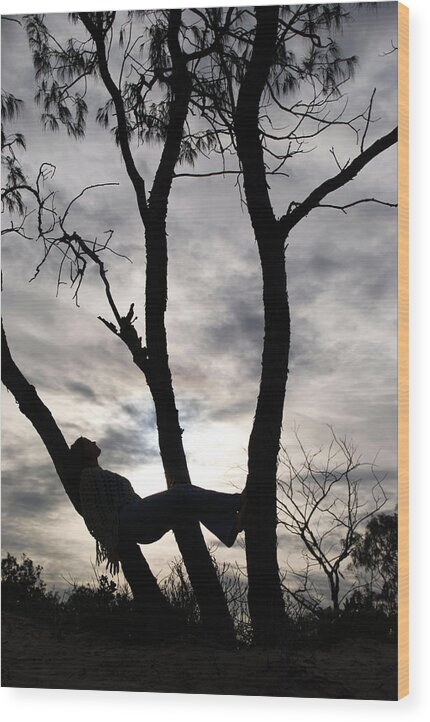 Australian Wood Print featuring the photograph Web of Life by Ankya Klay