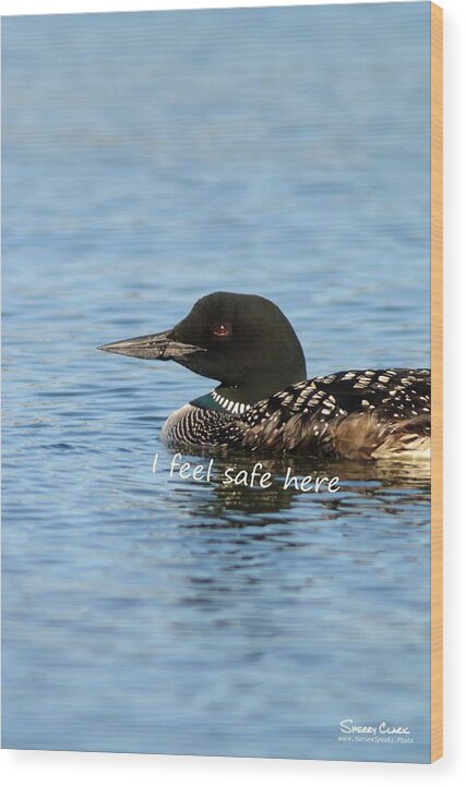  Wood Print featuring the photograph Common Loon says I Feel Safe Here by Sherry Clark