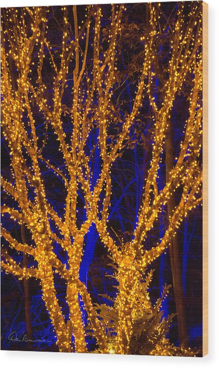 Christmas Wood Print featuring the photograph Gold Tree on Blue 5679 by Dan Beauvais