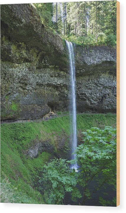 Landscape Wood Print featuring the photograph Silver Falls 2893 by Jerry Sodorff