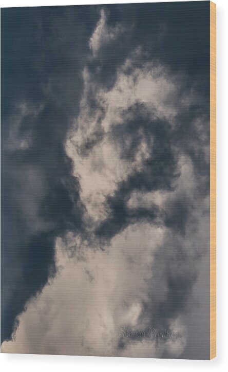 Sky Life Look Up Wood Print featuring the photograph Sky Life Look Up by Steven Poulton