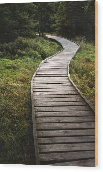 Eternity Wood Print featuring the photograph The Path to Nowhere by Martin Vorel Minimalist Photography