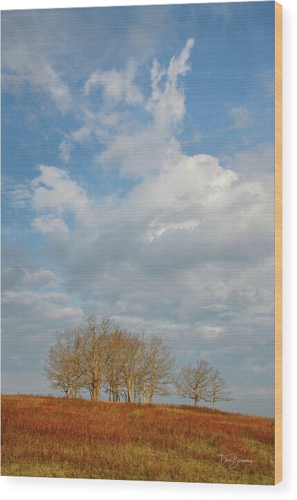 Big Meadows Wood Print featuring the photograph Barren Trees Big Meadows #1205 by Dan Beauvais