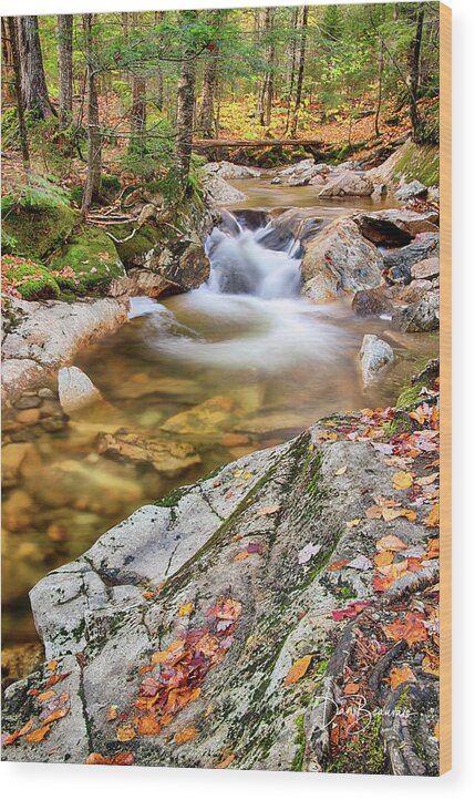 New England Wood Print featuring the photograph Cascade in the Pemigewasset 3551 by Dan Beauvais