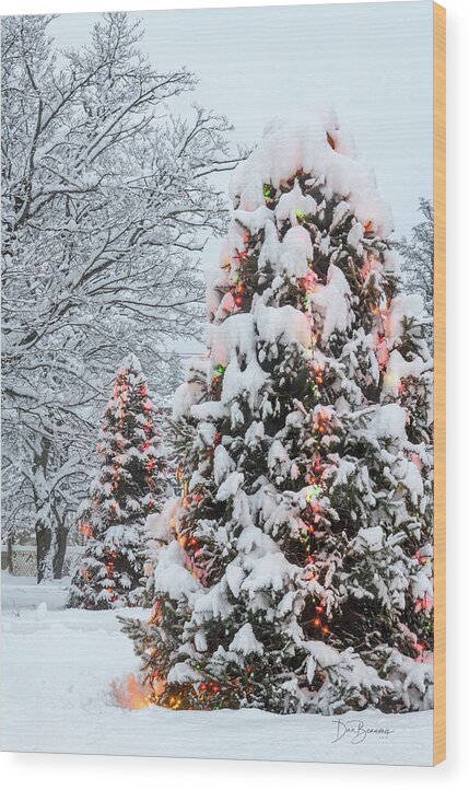 Christmas Tree Wood Print featuring the photograph Christmas Trees in Blizzard #6455 by Dan Beauvais