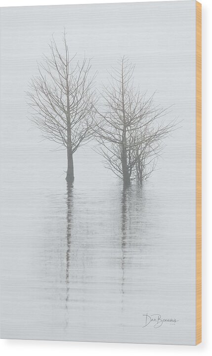 Fog Wood Print featuring the photograph Cypress in Fog 0241 by Dan Beauvais