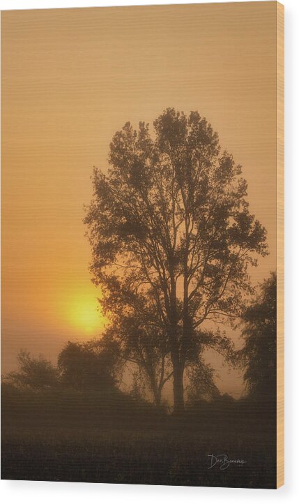 Marsh Wood Print featuring the photograph Foggy Pocosin Sunrise 6683 by Dan Beauvais