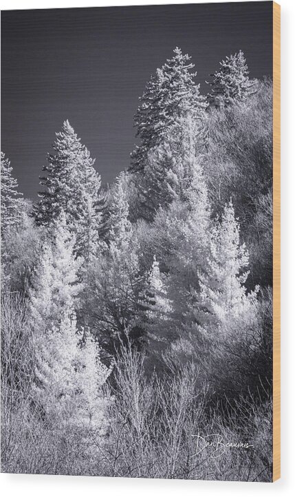 Trees Wood Print featuring the photograph Treeline 1107 by Dan Beauvais