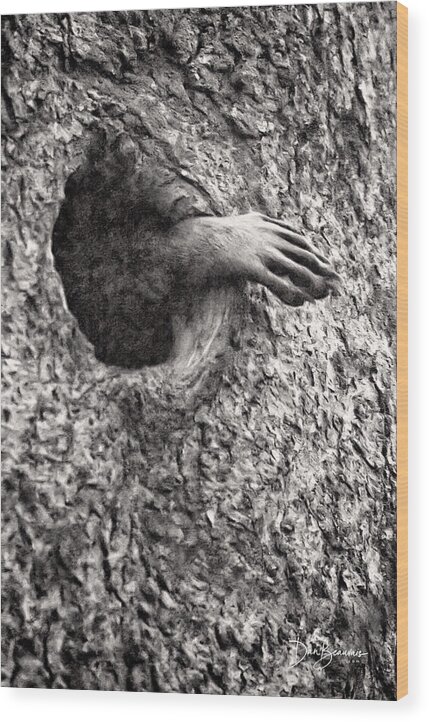 Raccoon Wood Print featuring the photograph Unsupervised Exploration #6844 by Dan Beauvais