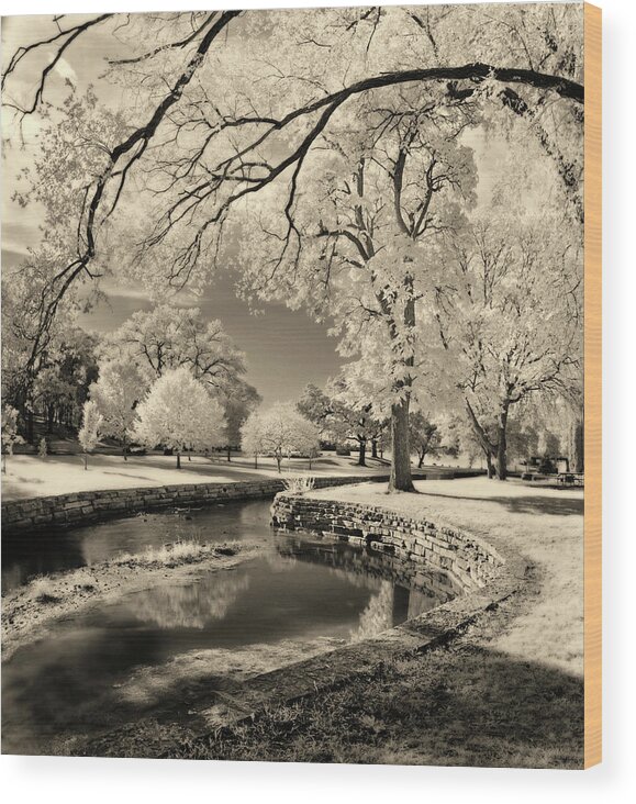 Lake Leota Wood Print featuring the photograph Solitude at Allen Creek - Infrared black and white FILM image at Lake Leota park in Evansville WI by Peter Herman