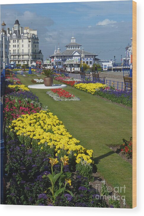 Eastbourne Wood Print featuring the photograph Eastbourne Promenade Gardens - England by Phil Banks