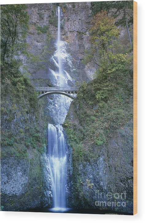 North America Wood Print featuring the photograph Multnomah Falls Columbia River Gorge by Dave Welling