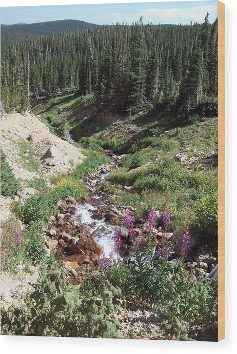 Landscape Wood Print featuring the photograph On Top of The Continental Divide in the Rocky Mountains by Daniel Larsen
