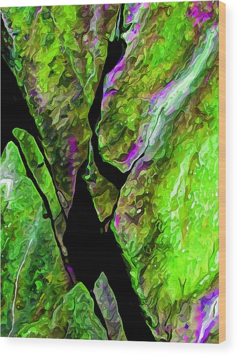 Nature Wood Print featuring the digital art Rock Art 20 by ABeautifulSky Photography by Bill Caldwell
