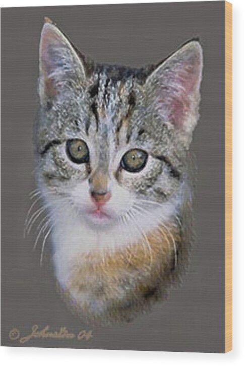 Silver Wood Print featuring the painting Tabby Kitten an Original Painting For Sale by Bob and Nadine Johnston
