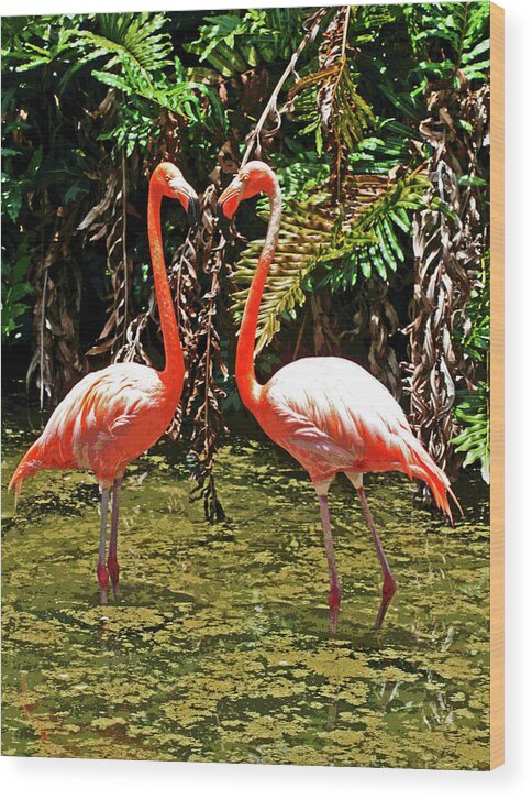 Larry Wood Print featuring the photograph 2 Pink Flamingos by Larry Oskin