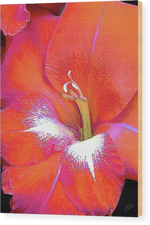 Nature Wood Print featuring the photograph Big Glad in Orange and Fuchsia by ABeautifulSky Photography by Bill Caldwell