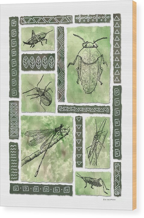 Hawaii Wood Print featuring the painting Insects of Hawaii I by Diane Thornton