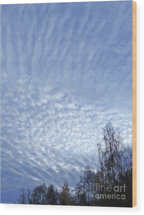 Mackerel Sky Wood Print featuring the photograph Mackerel Sky by Phil Banks