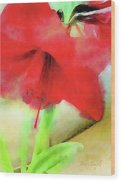 Red Amaryllis Wood Print featuring the digital art By The Window by James Temple