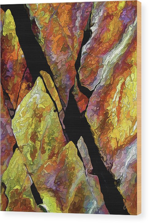 Nature Wood Print featuring the photograph Rock Art 17 by ABeautifulSky Photography by Bill Caldwell