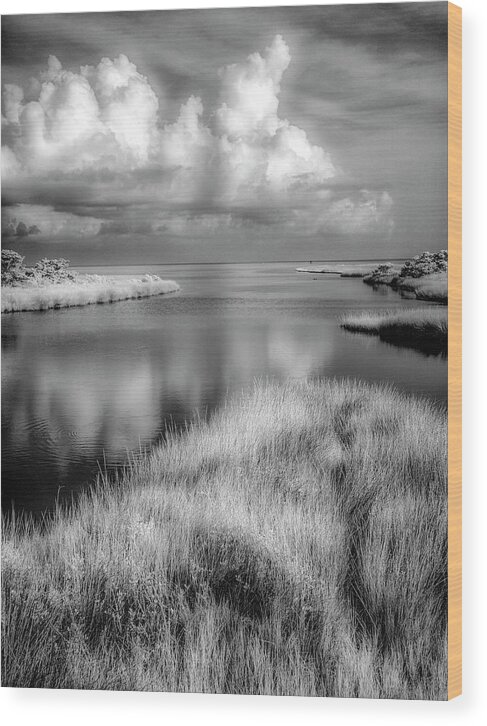 North Carolina Wood Print featuring the photograph Smooth Waters BW by Dan Carmichael