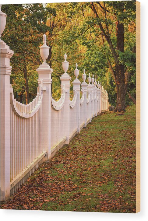 Fence Wood Print featuring the photograph Fence Line by Thomas Hall