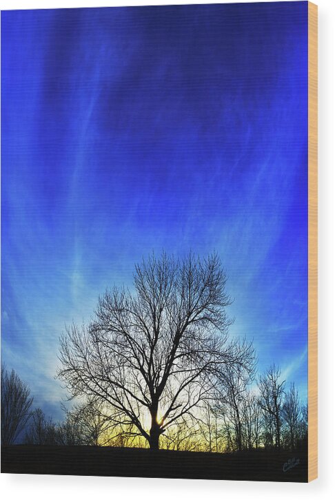 Beauty Of Nature Wood Print featuring the photograph Vernal Sunset by ABeautifulSky Photography by Bill Caldwell