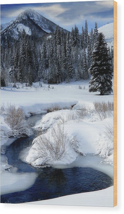 Wasatch Mountains Wood Print featuring the photograph Wasatch Mountains in Winter #7 by Douglas Pulsipher