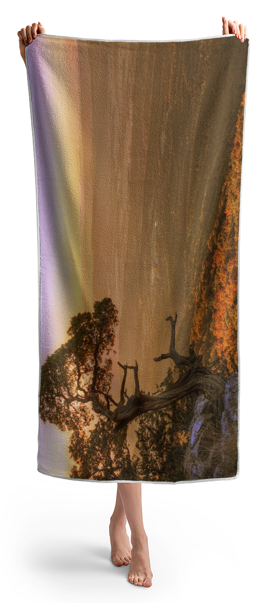 Cedar Tree Atop Mt. Magazine - Arkansas - Autumn Beach Towel