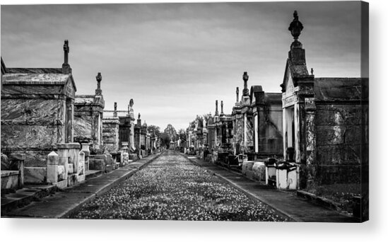  Photograph - The Metairie Cemetery by Tim Stanley