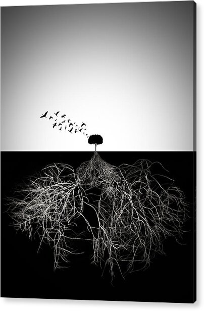 Do Not Judge According To Appearance Acrylic Print