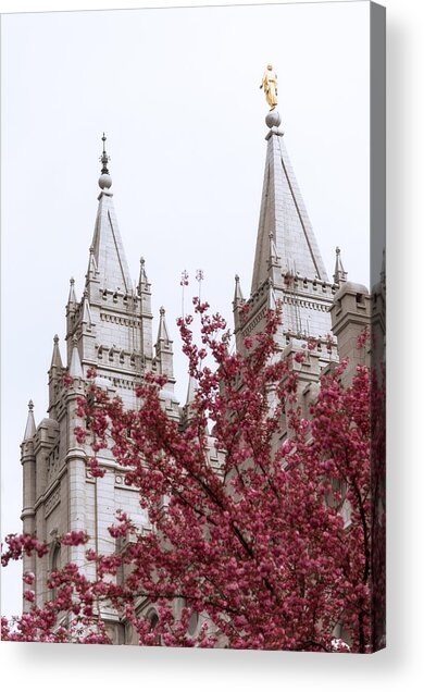 Temple Spires and Cherry Blossoms Acrylic Print