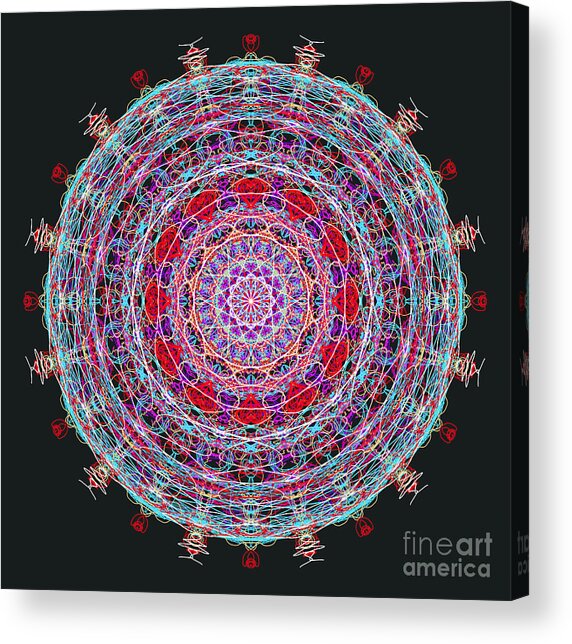  Painting - Rose Heart And Butterfly Mandala by Catherine Lott