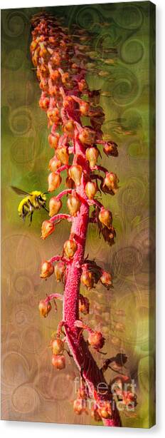 Bee Psychadelic with Me Canvas Art Print by Omaste Witkowski