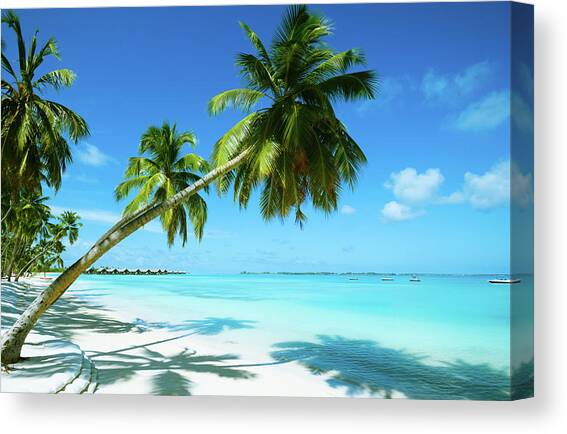 Beautiful Beach Resort Canvas Art Print by Phototalk